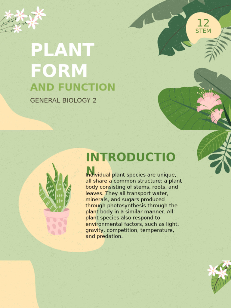 Plant Structure and Function Guide | PDF | Leaf | Plant Stem