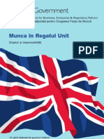 19383990 Dg Guide for Romanian Workers 171451