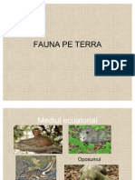 Fauna Pe Terra