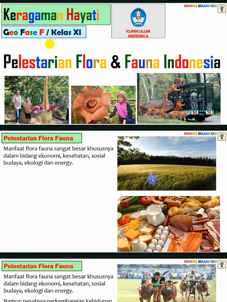 Konservasi Flora Fauna Indonesia | PDF