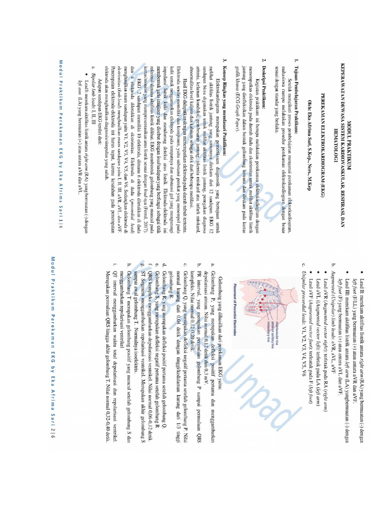 Modul Ekg | PDF