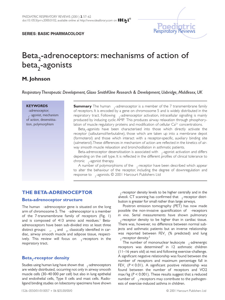 Beta2-Adrenoceptors Mechanisms of Action of Beta2 Agonist | PDF ...