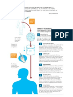 Células Tronco Contra o Linfoma