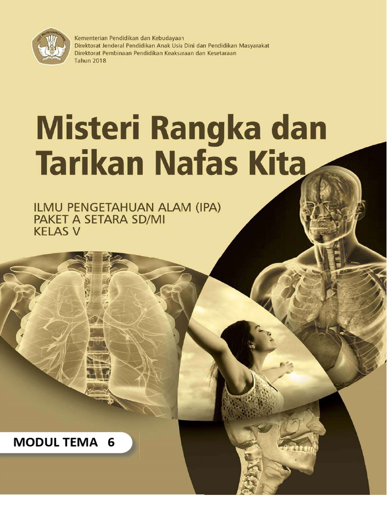 Ipa A6 | PDF | Sains & Matematika