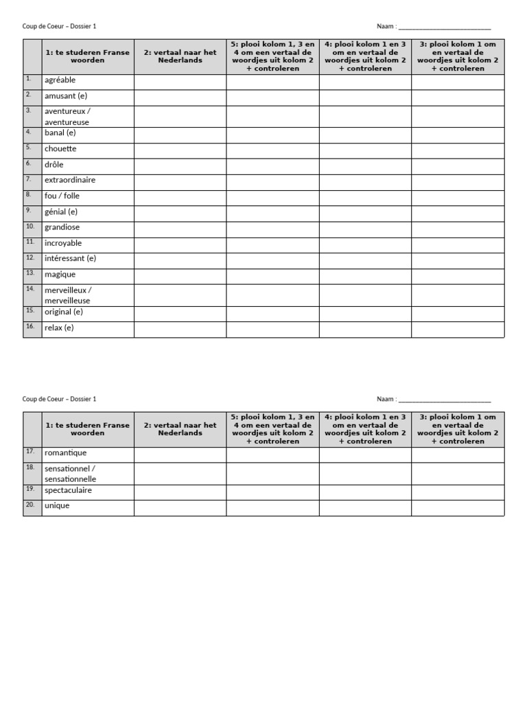 CdC3 DG D1 ER1 Adjectifs | PDF