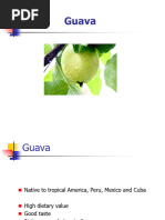 Guapple Cultivation Guide and Benefits | PDF | Legume | Grafting