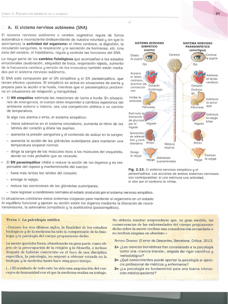 SNA | PDF