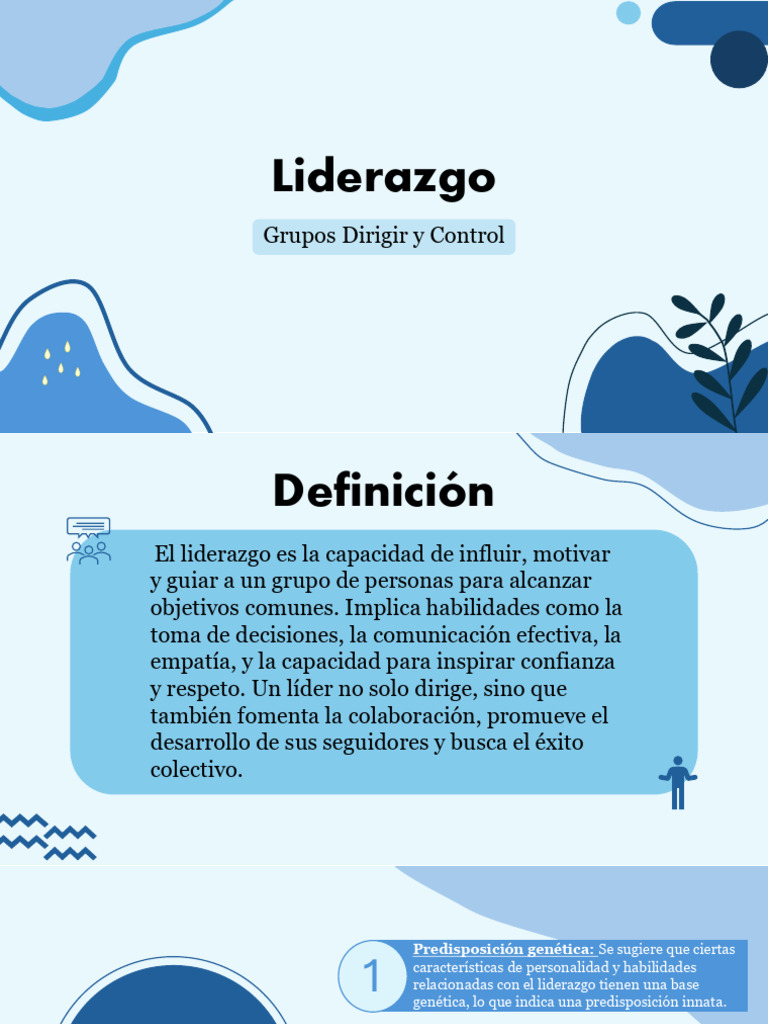 Tipos y Claves del Liderazgo Efectivo | PDF | Liderazgo | Motivación