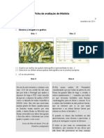 Ficha de história do 8ºano dezembro