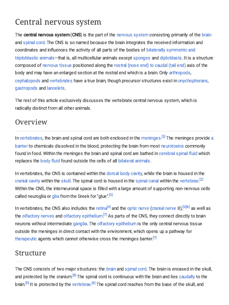 Overview of the Central Nervous System | PDF | Central Nervous System ...