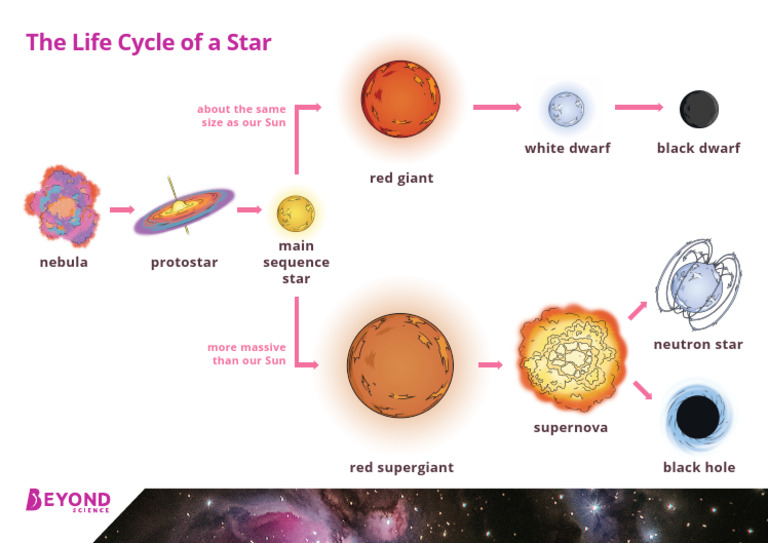 Life Cycle of A Star Display Poster | PDF