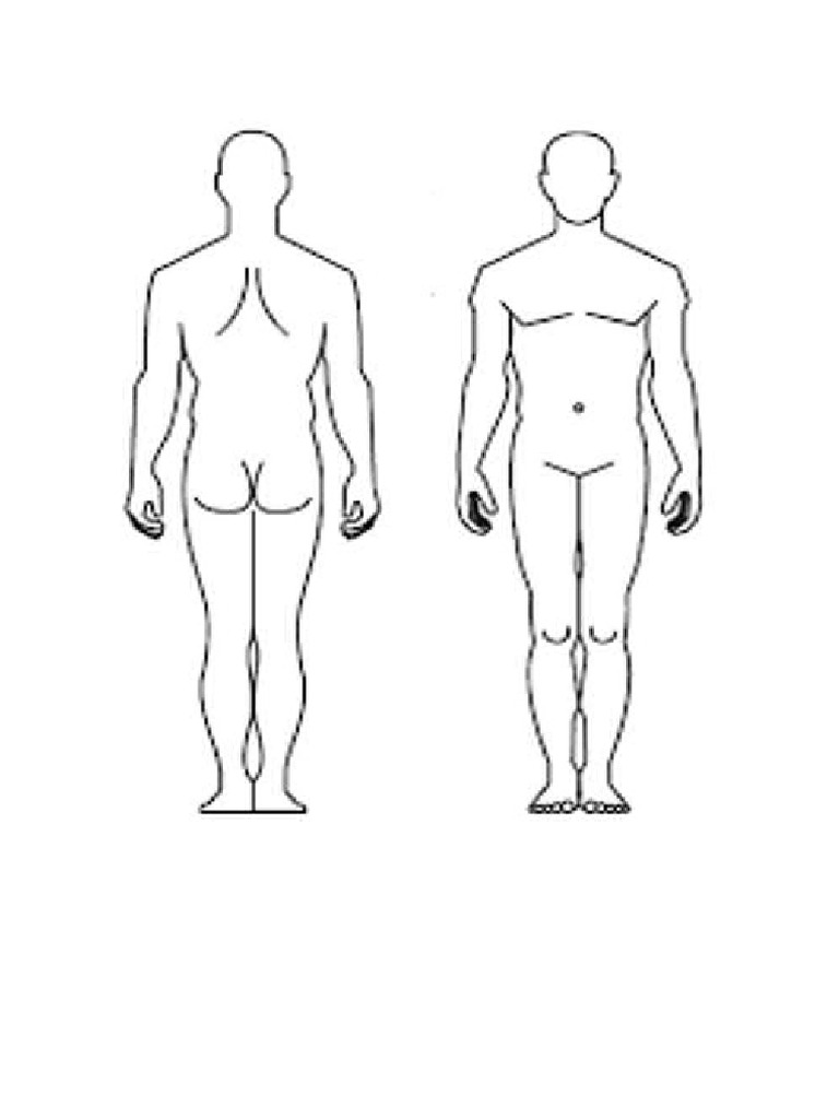 BODY | PDF