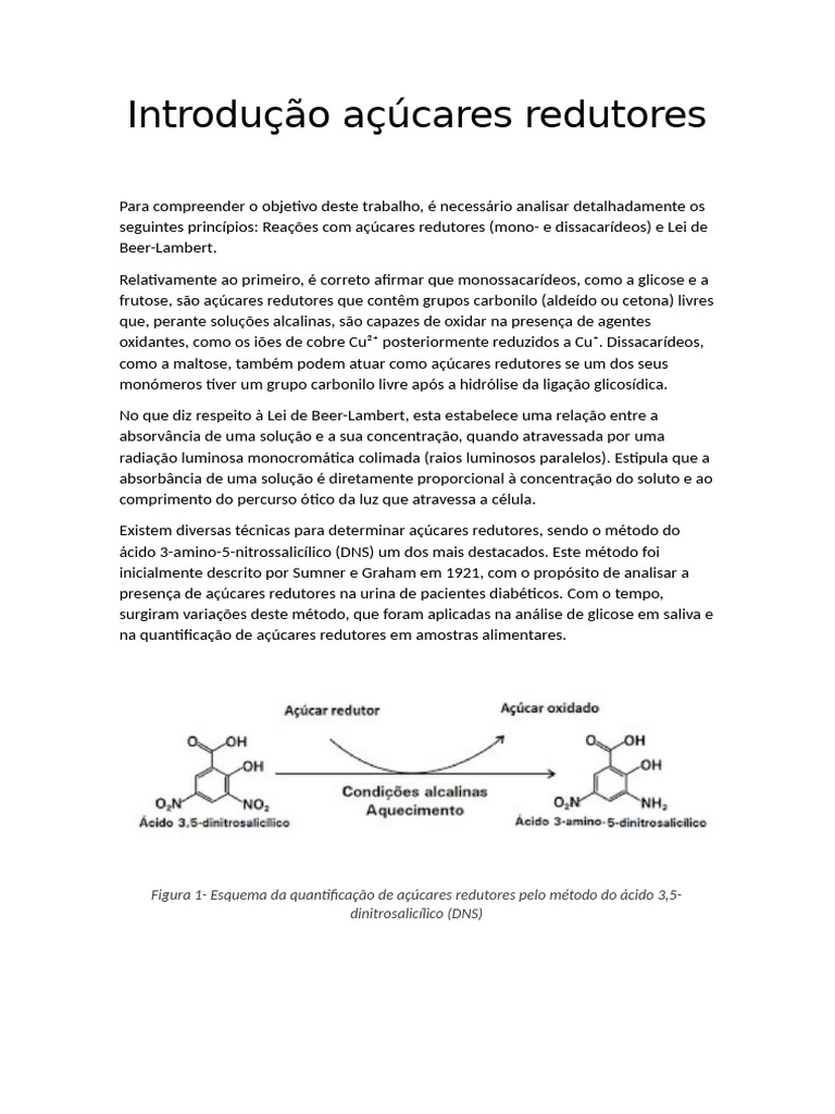 Introdução Açúcares Redutores | PDF | Carboidratos | Absorbância