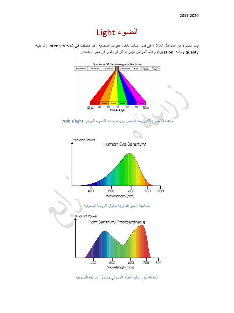 Light: Intensity Quality Duration | PDF