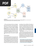 yun Betsy e Kumar - Cryopreservation of Fish Gametes | PDF