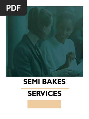Professional services business plan Sem (1)
