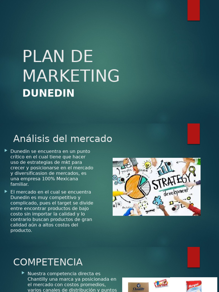 Plan de Marketing Doneli | PDF | Marketing | Mercado (economía)