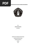 Download Pemeriksaan Post Mortem by Roosy Margaretha Riupassa SN79149532 doc pdf