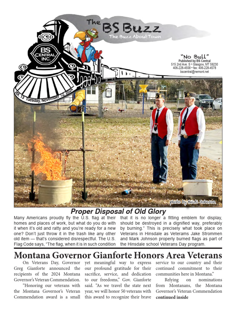 BS Buzz | PDF | Beef | Flag Of The United States