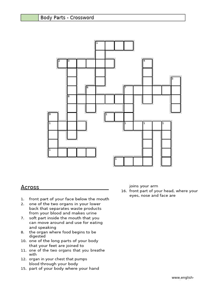 Puzzle body-parts | PDF