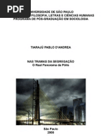 Mestrado D'Andrea, Tiaraju 2008 Fflch