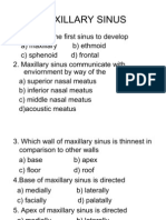 Maxillary Sinus