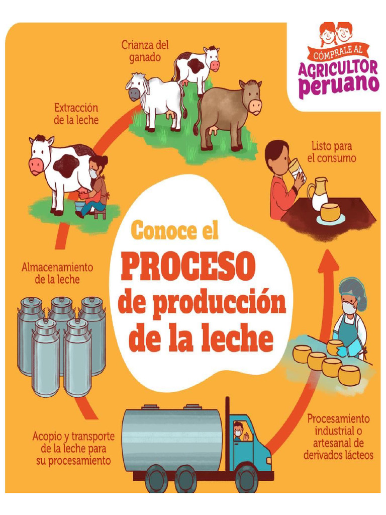 Circuito Productivo de La Leche | PDF