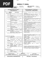 modelo_t_anual