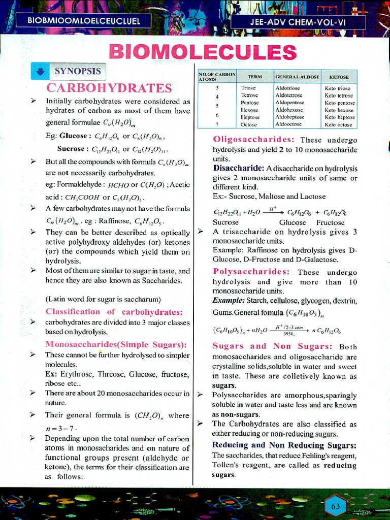 2 Biomolecules | PDF
