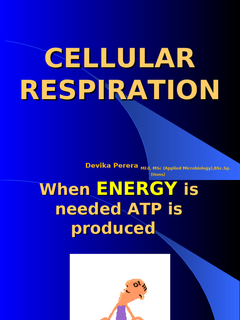 Cellular Respiration | PDF | Cellular Respiration | Adenosine Triphosphate