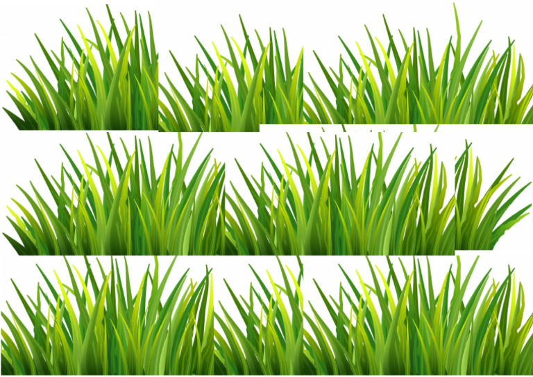 Rumput | PDF