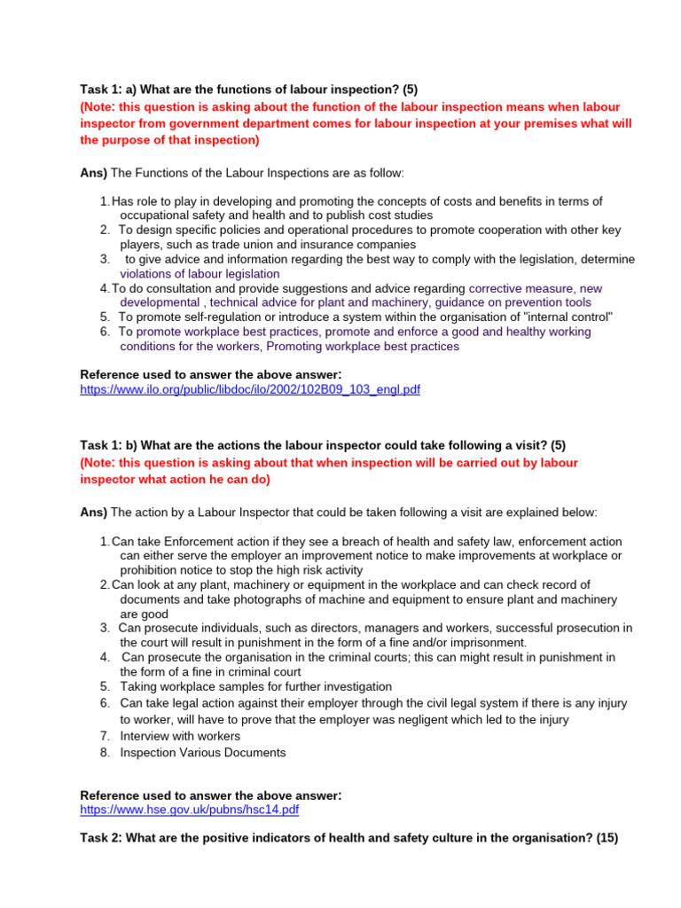 Functions and Actions of Labour Inspection | PDF | Occupational Safety ...
