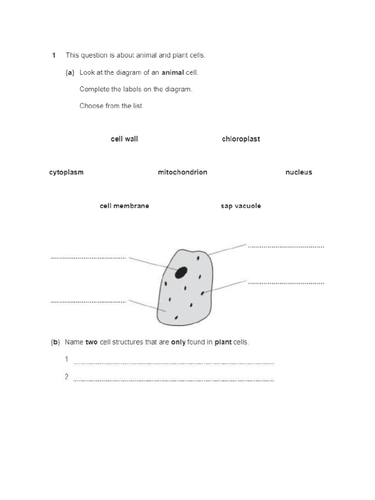 Year 7 Science Progression 2024 | PDF