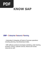 Download SAP Overview by Jl Bc SN79161515 doc pdf