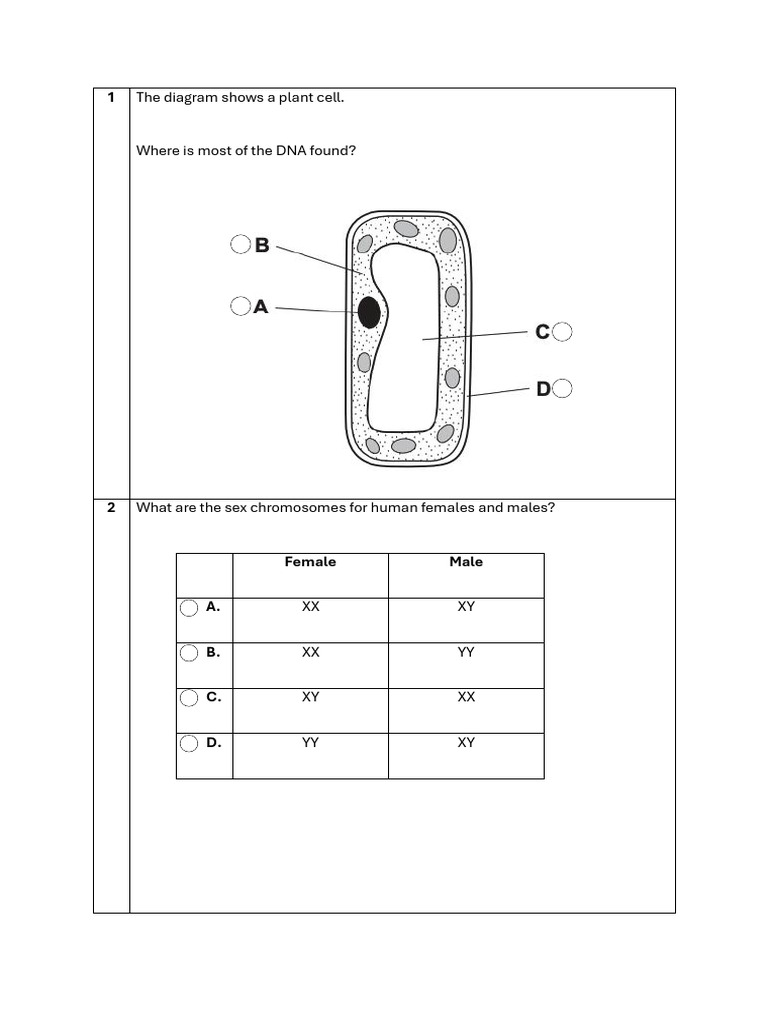 Year 11 Inheritance W1 Pdf Ploidy Sex