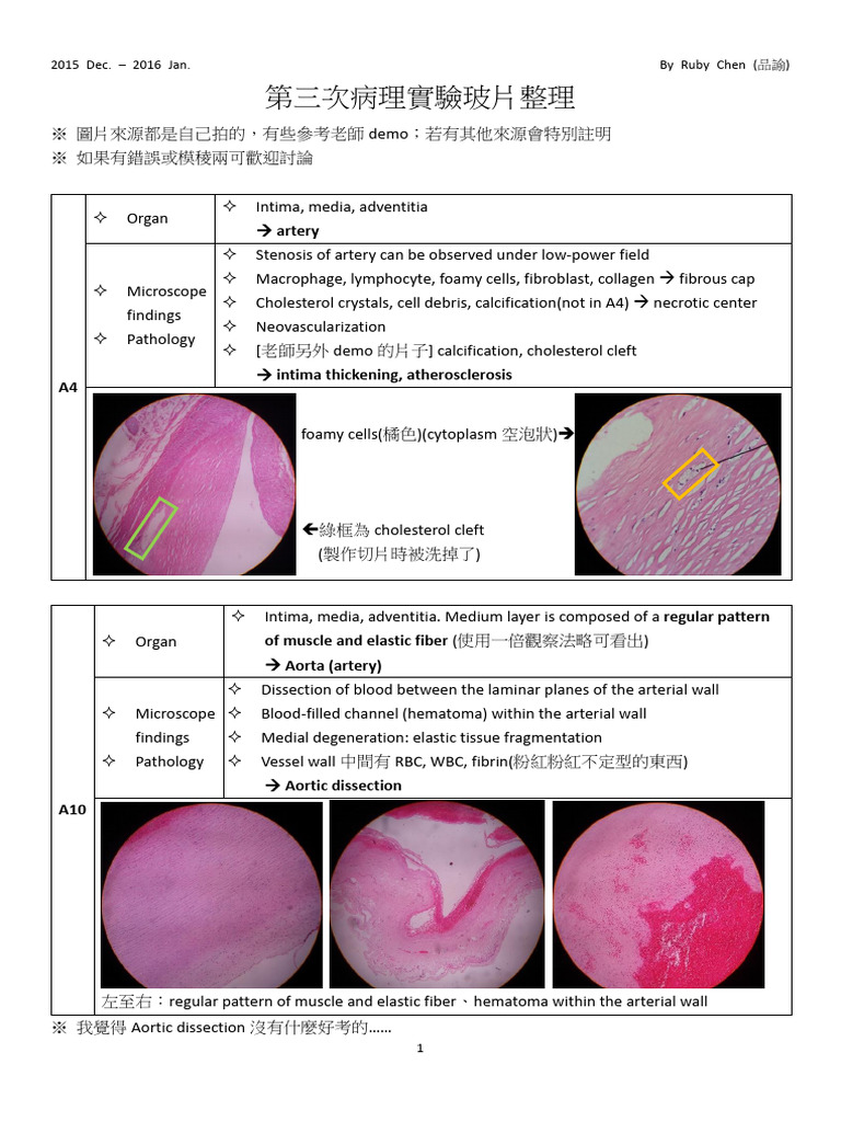 Pathological Findings in Various Tissues | PDF | Artery | Bone