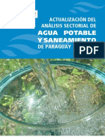 Analisis Sectorial Paraguay