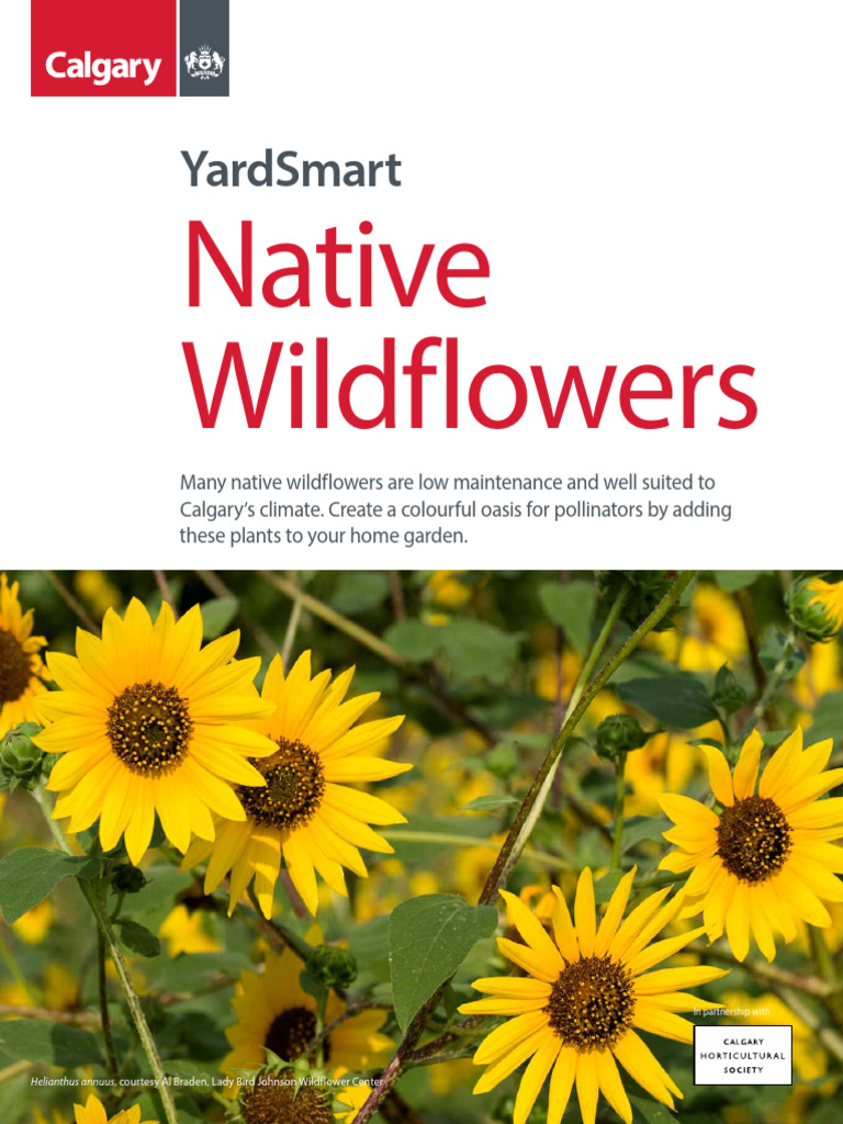 Native Wildflower Plants Guide | PDF | Flowers | Pollinators