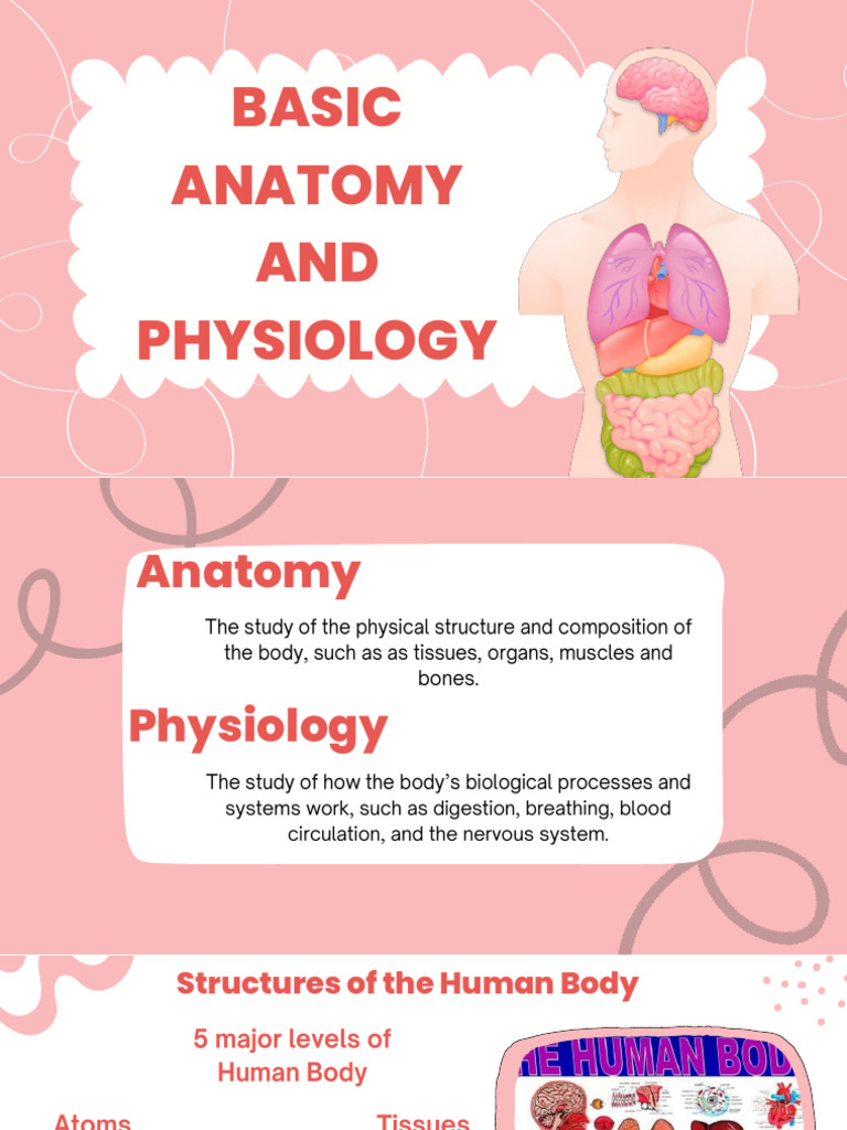 Human Body Anatomy and Physiology | PDF | Self-Improvement | Wellness