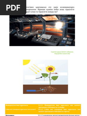 Әйел үстемдігі орыс порно