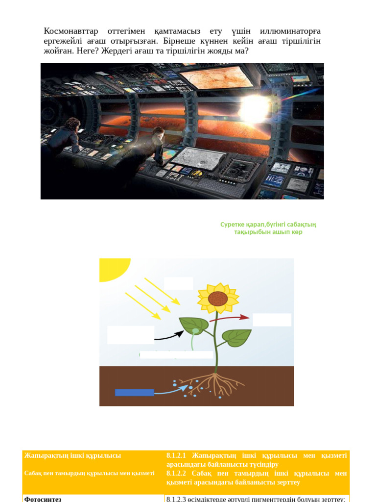 Транс жұппен жыныстық қатынас