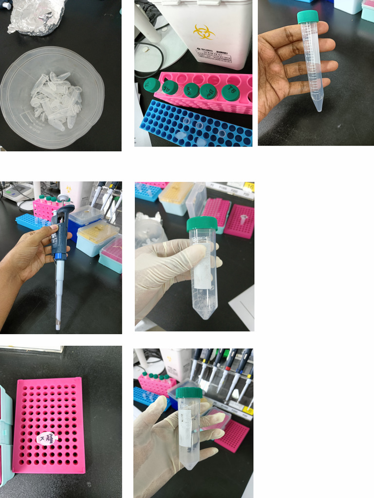 Bio Lab | PDF