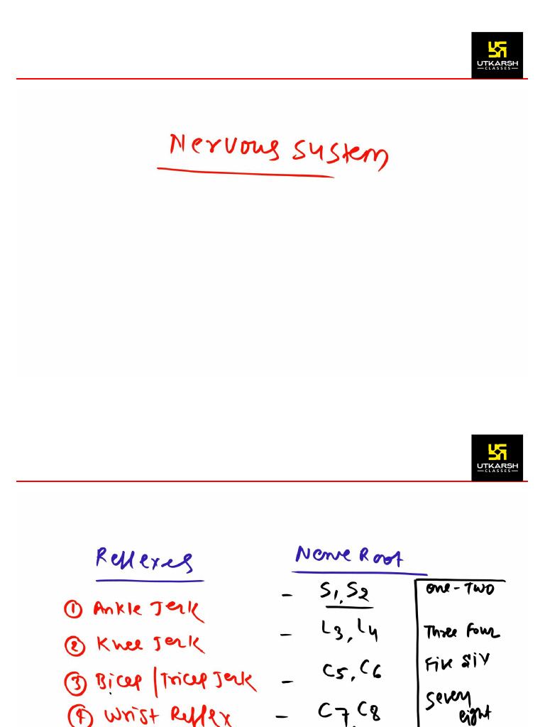 Part-2 - Nervous System Disorder (HEAD INJURY) - 04-Aug | PDF