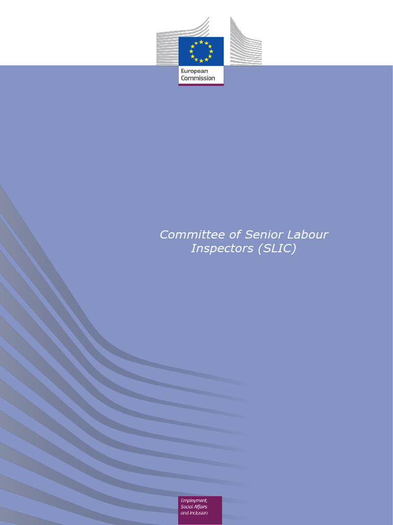 Labour Inspection Principles for Workplace Safety | PDF | Occupational ...