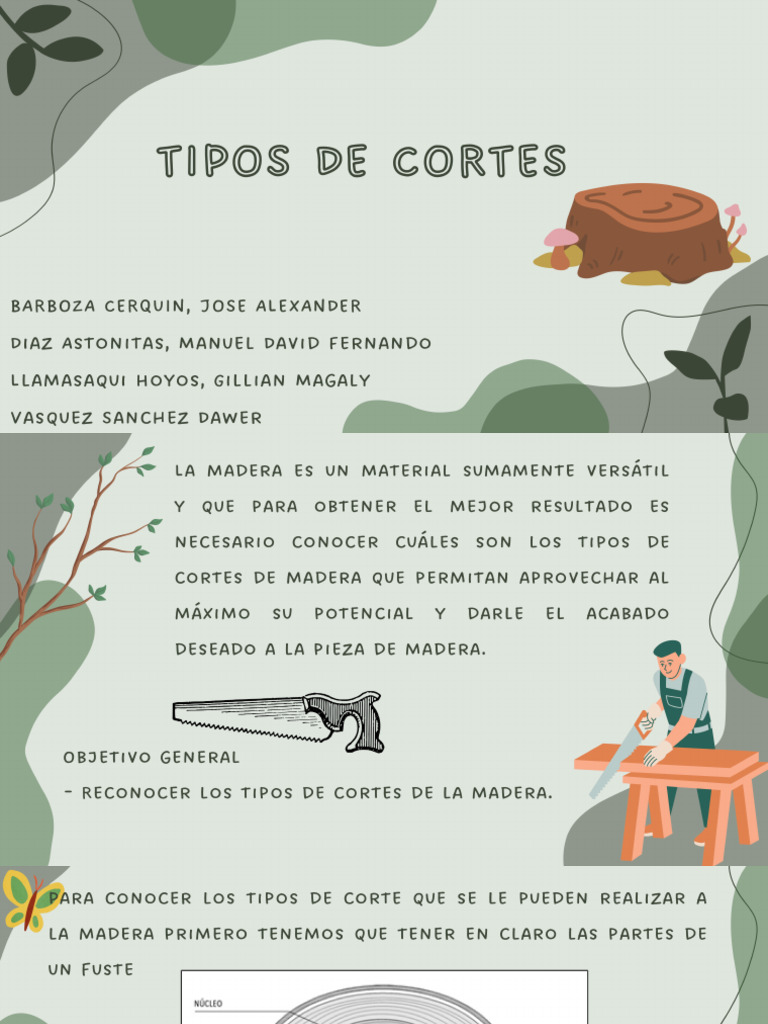 Tipos de Cortes | PDF