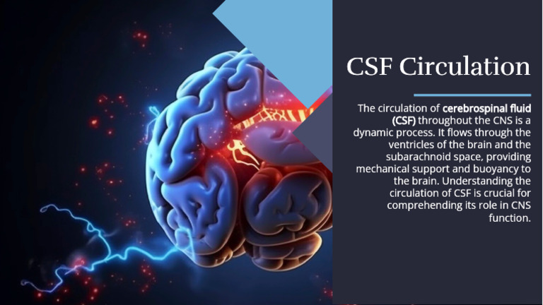 Wepik The Essential Role of Cerebrospinal Fluid CSF in Central Nervous ...