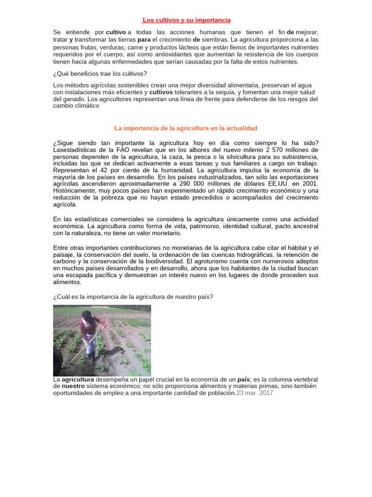 Los Cultivos y Su Importancia | PDF | Agricultura | Alimentos