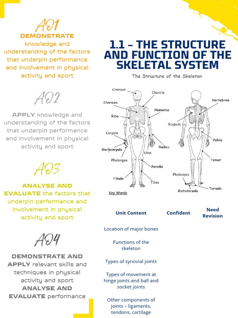 Structure and Function of Body Systems | PDF | Skeleton