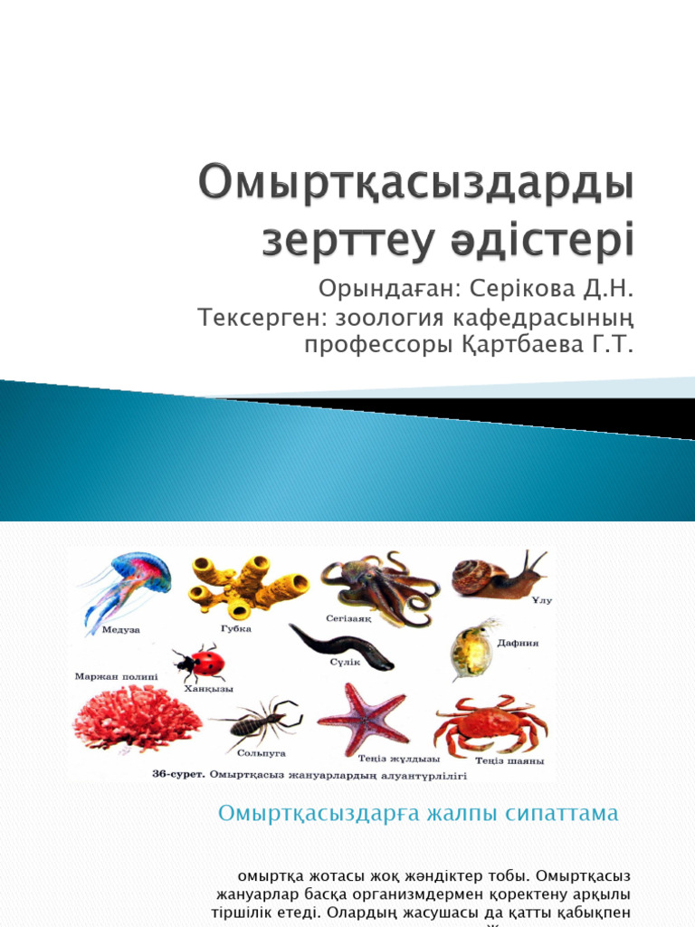 Ішкі киімсіз жасырын камера фотосуреттері