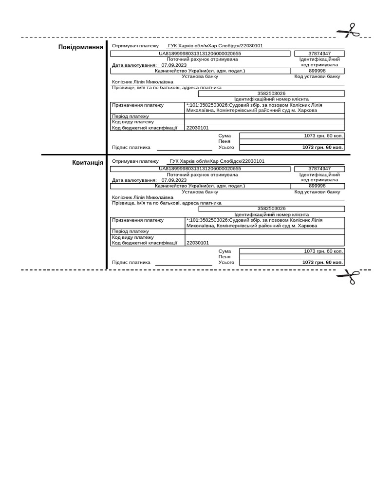 Blank pdf
